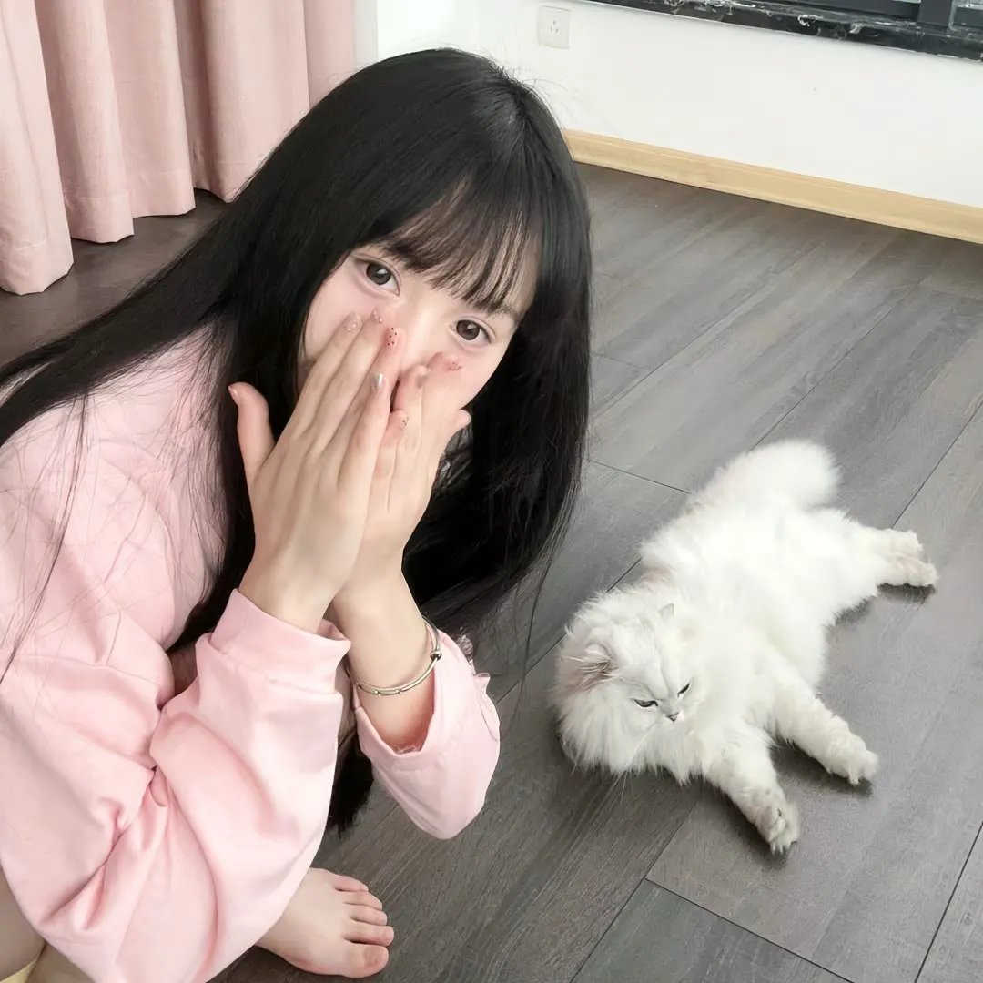 傻子阿达